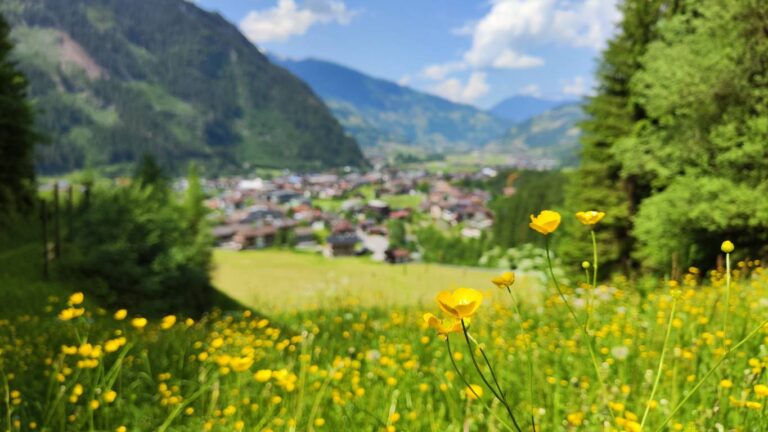 Blick Mayrhofen